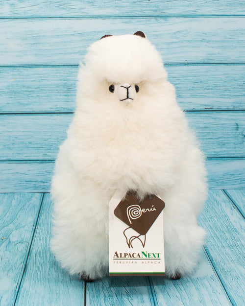 Soft alpaca stuffed animal. White, 9 inches. Waiting for a hugh